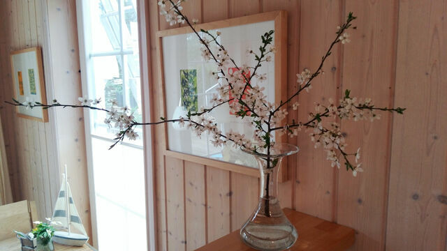 Ferienhaus in Baabe - Ostseestrandhus - Baabe - Bild 4