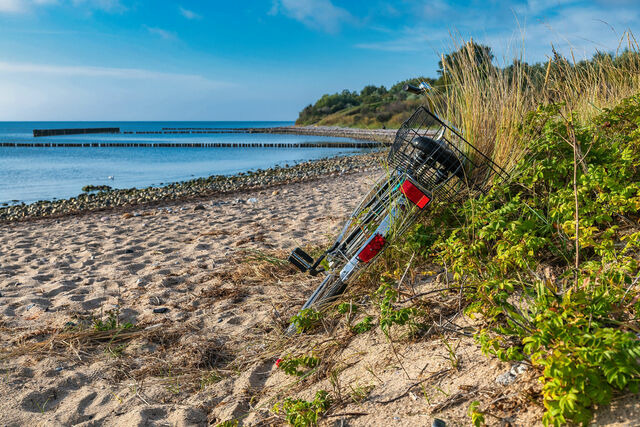 Ferienwohnung in Dranske - Ferienwohnung Schatzk&auml;stchen - Bild 19