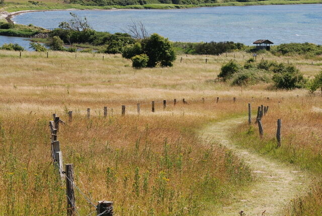 Ferienhaus in Gl&uuml;cksburg - Trehus - Bild 18