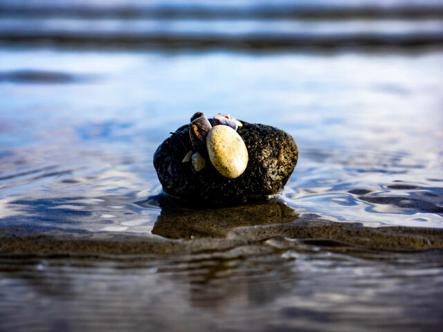 Ferienhaus in Gl&uuml;cksburg - Trehus - Bild 22