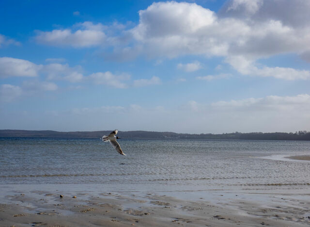 Ferienhaus in Gl&uuml;cksburg - Ferienhaus "S&ouml;ren" - Bild 19