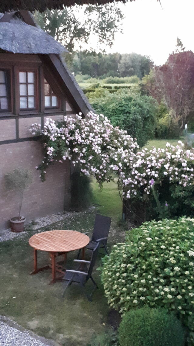 Ferienwohnung in Fuhlendorf - Boddenzauber - Bild 11