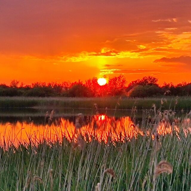 Bungalow in J&uuml;rgenshagen - Projekt Ferienhaus am See - Bild 22