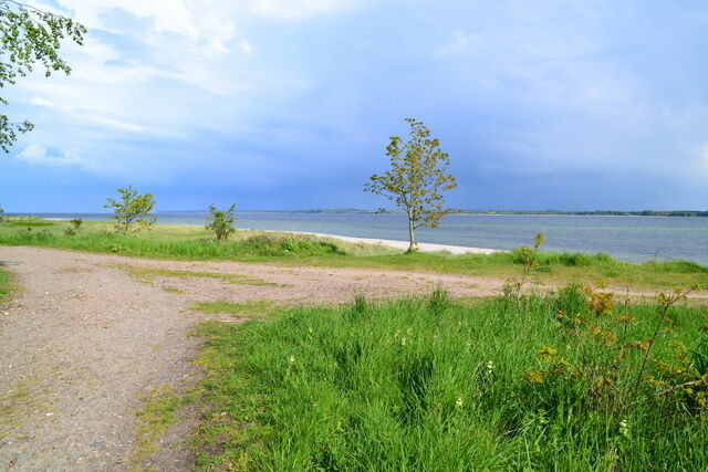 Ferienwohnung in Barkelsby-Hemmelmark - Alte Schule 2 - Bild 18