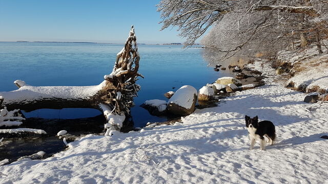 Ferienwohnung in Lauterbach - K&uuml;stenKind - Bild 19