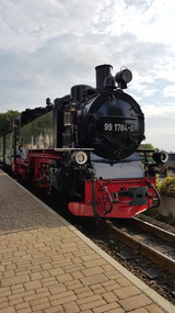 Ferienwohnung in Lauterbach - K&uuml;stenKind - Bild 24