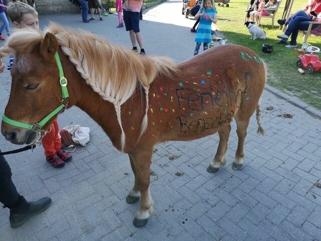 Ferienwohnung in Fehmarn OT Staberdorf - Tenne 2, inkl. 1 Parkplatz - Bild 13