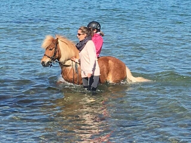 Ferienwohnung in Fehmarn OT Staberdorf - Tenne 2, inkl. 1 Parkplatz - Bild 20