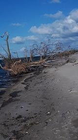 Ferienhaus in Lütow - Ferienhaus Köhler Am Achterwasser , Urlaub mit Hund - Bild 23