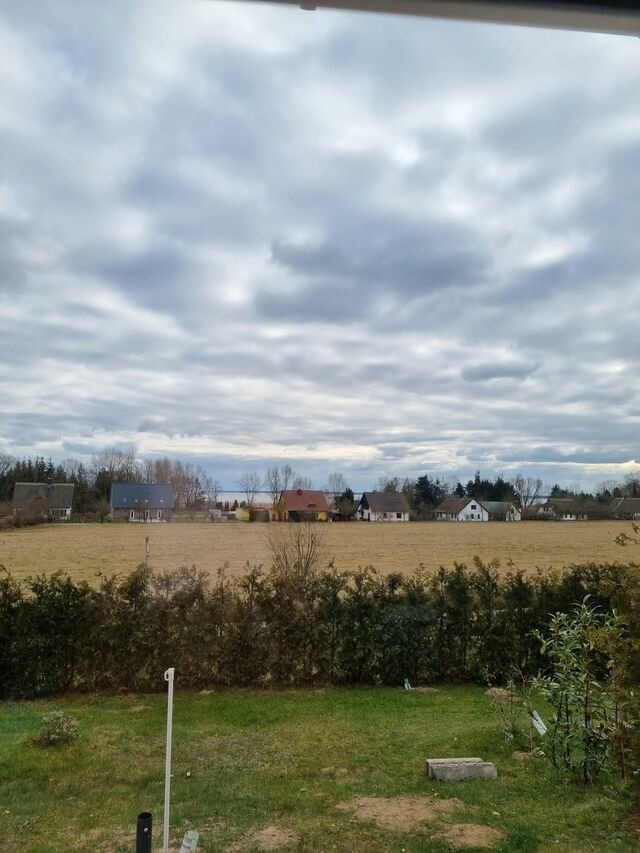 Ferienwohnung in Lütow - Ferienhaus Köhler Am Walde , Urlaub mit Hund - Bild 11