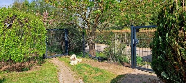 Ferienwohnung in R&ouml;vershagen - FEWO Sonne - Bild 19