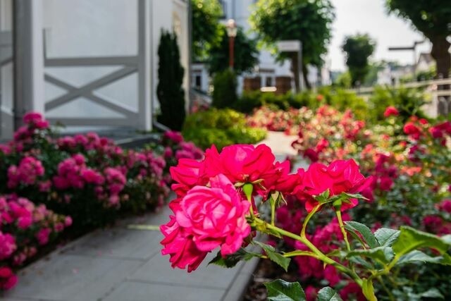 Ferienwohnung in Binz - Villa Iduna / Ferienwohnung No. 4 - 1. OG mit Balkon nach Osten - Bild 15