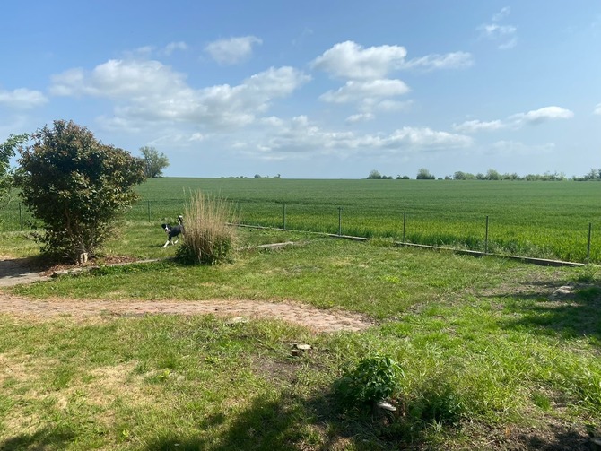 Ferienhaus in Fehmarn OT Gammendorf - Ferienhaus Sonnenwinkel - Blick &uuml;ber die Felder