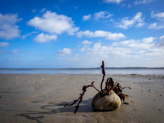Ferienhaus in Gl&uuml;cksburg - Ferienhaus Lille Strandhus - Bild 16