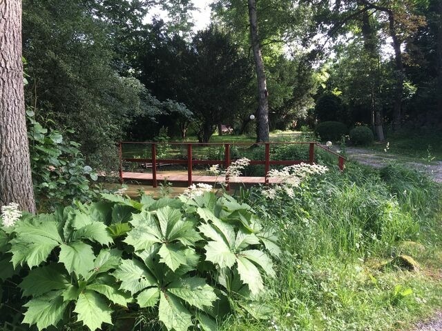 Ferienwohnung in Gl&uuml;cksburg - Ferienwohnung Erlkron - Bild 19