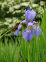 Ferienwohnung in Gl&uuml;cksburg - Ferienwohnung Erlkron - Bild 23