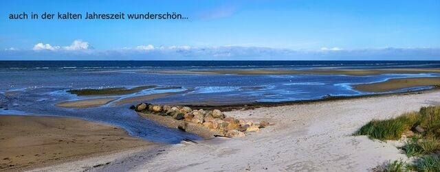 Ferienwohnung in Wendtorf - Strandl&auml;ufer - Bild 18