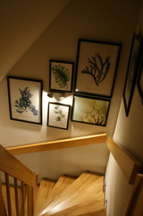 Ferienhaus in Heringsdorf - Reethus Sternenkikker inkl. Strandkorb am Ostseestrand - Bild 18