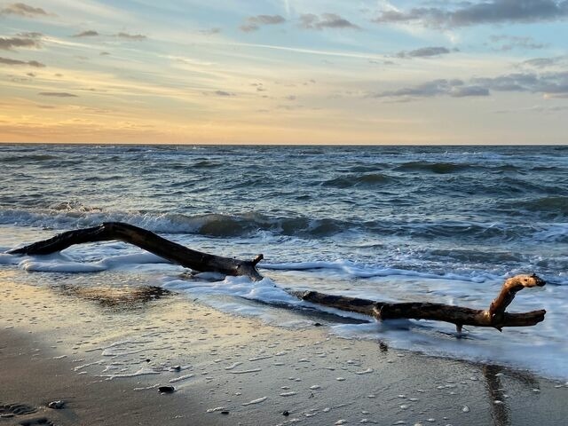 Ferienwohnung in Dierhagen - M&ouml;wennest App. 1 - Bild 24