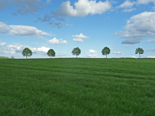 Ferienwohnung in Rieseby - Gut B&uuml;chenau - Ferienwohnung Romantika - Bild 14