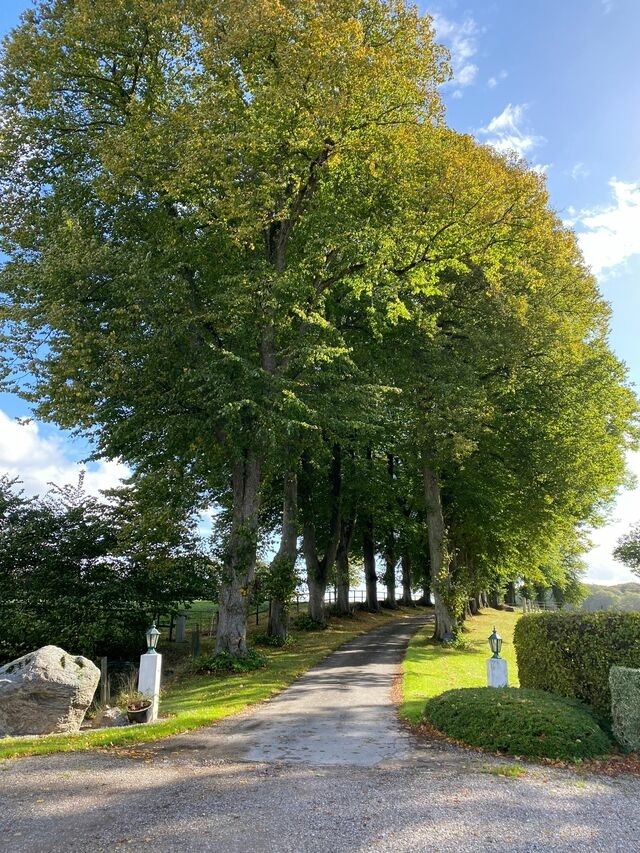 Ferienwohnung in Rieseby - Gut B&uuml;chenau - Ferienwohnung Meeresbrise - Bild 19