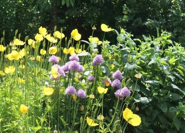 Ferienhaus in Brodersby - Landhaus Schleiblick - Bild 20