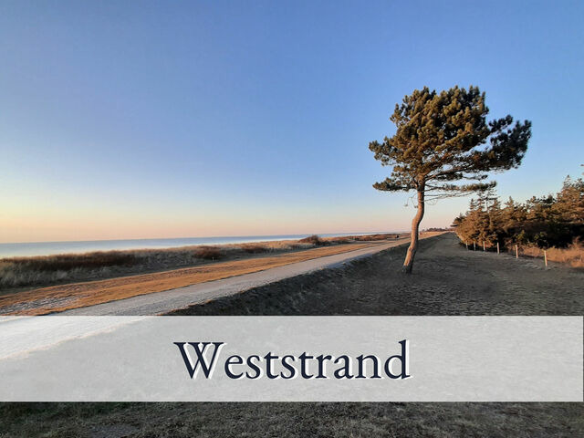 Ferienwohnung in Fehmarn OT Sulsdorf - Hirschfeld Hus Whg 1 - Bild 19