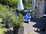 Ferienhaus in Hohwacht - Die M&ouml;we im M&ouml;wenweg App. 1 - Bild 25