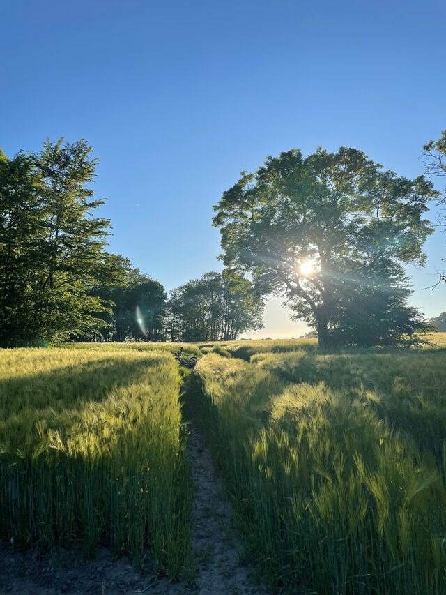 Ferienwohnung in Maasholm - Ferienwohnung mit Ostseeblick #11 - Bild 23