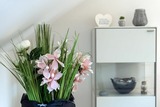Ferienwohnung in Kellenhusen - Luna - Bild 16