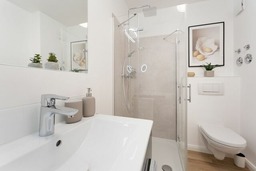 Commodore Meerfreude