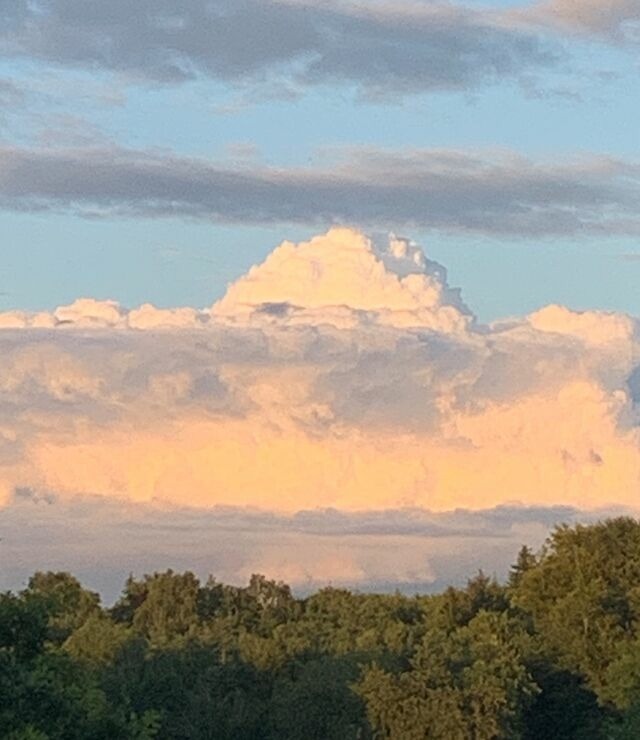 Ferienwohnung in Ascheffel - Wilsterberg FeWo "die Große" - Bild 5