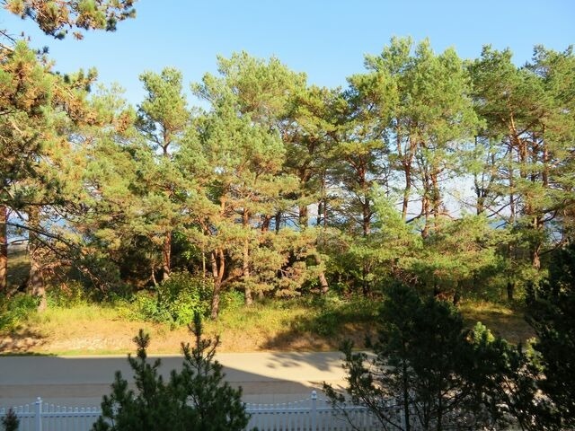 Ferienwohnung in Seebad Heringsdorf - (Brise) Dünenhaus Christa App. 11 - Bild 6