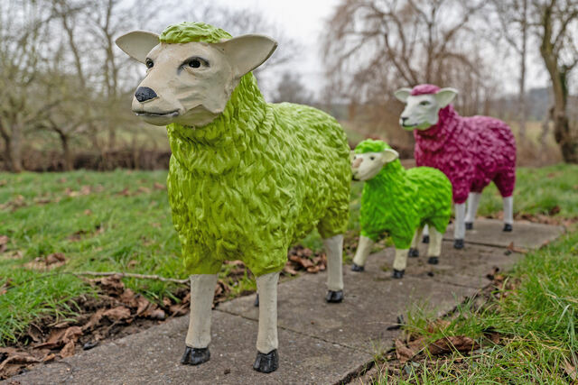 Ferienwohnung in Sch&ouml;nberg - Ostseeschwimmerin - Bild 16