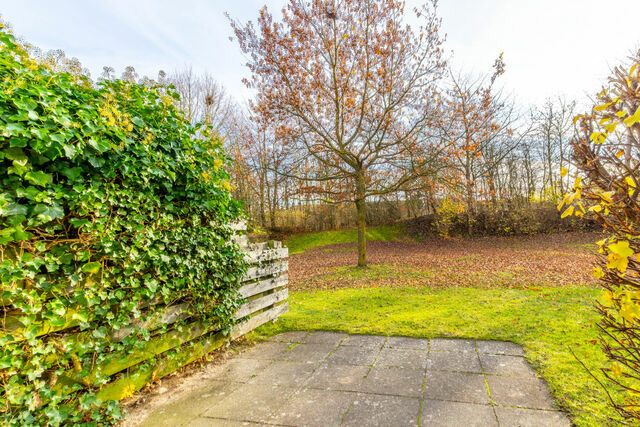 Ferienwohnung in Boltenhagen - S&uuml;nnslag Wohnung 17 - Bild 6