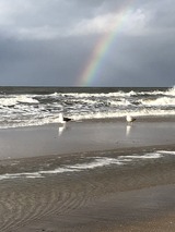 Ferienwohnung in Rostock - Ferienwohung Ostseewald - Bild 19