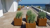 Ferienwohnung in Scharbeutz - Penthouse Am Hang 5 - Bild 18